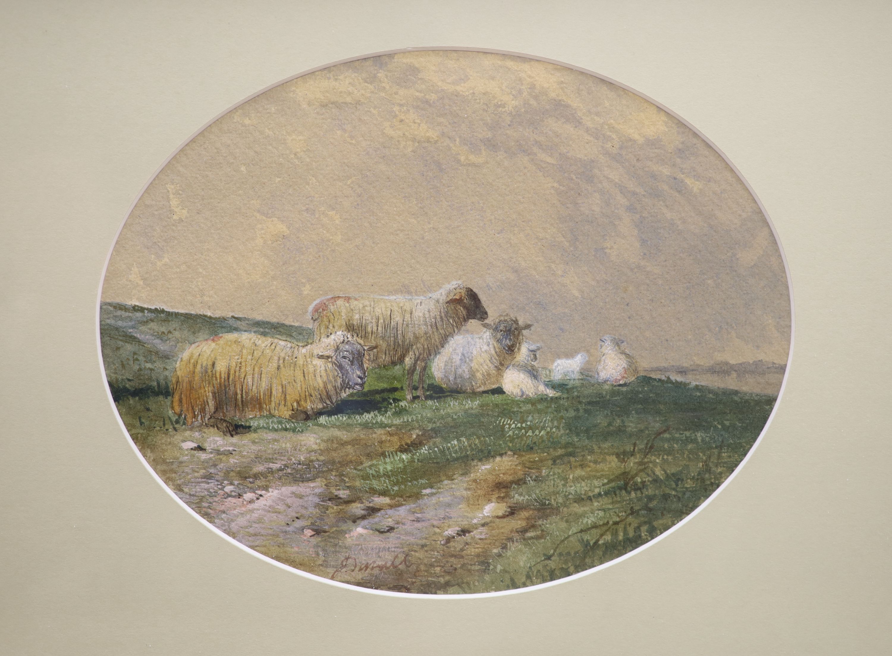 J.D. (19thC), pair of watercolours, Studies of sheep, indistinctly signed, 19 x 24cm